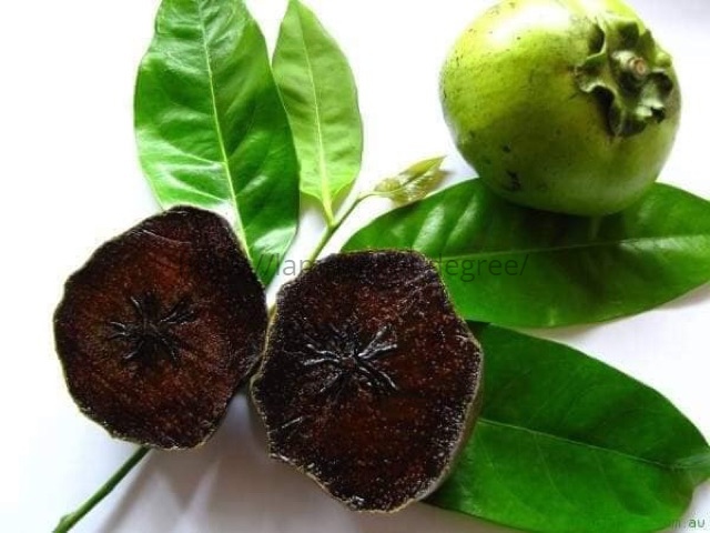 kesemek hitam