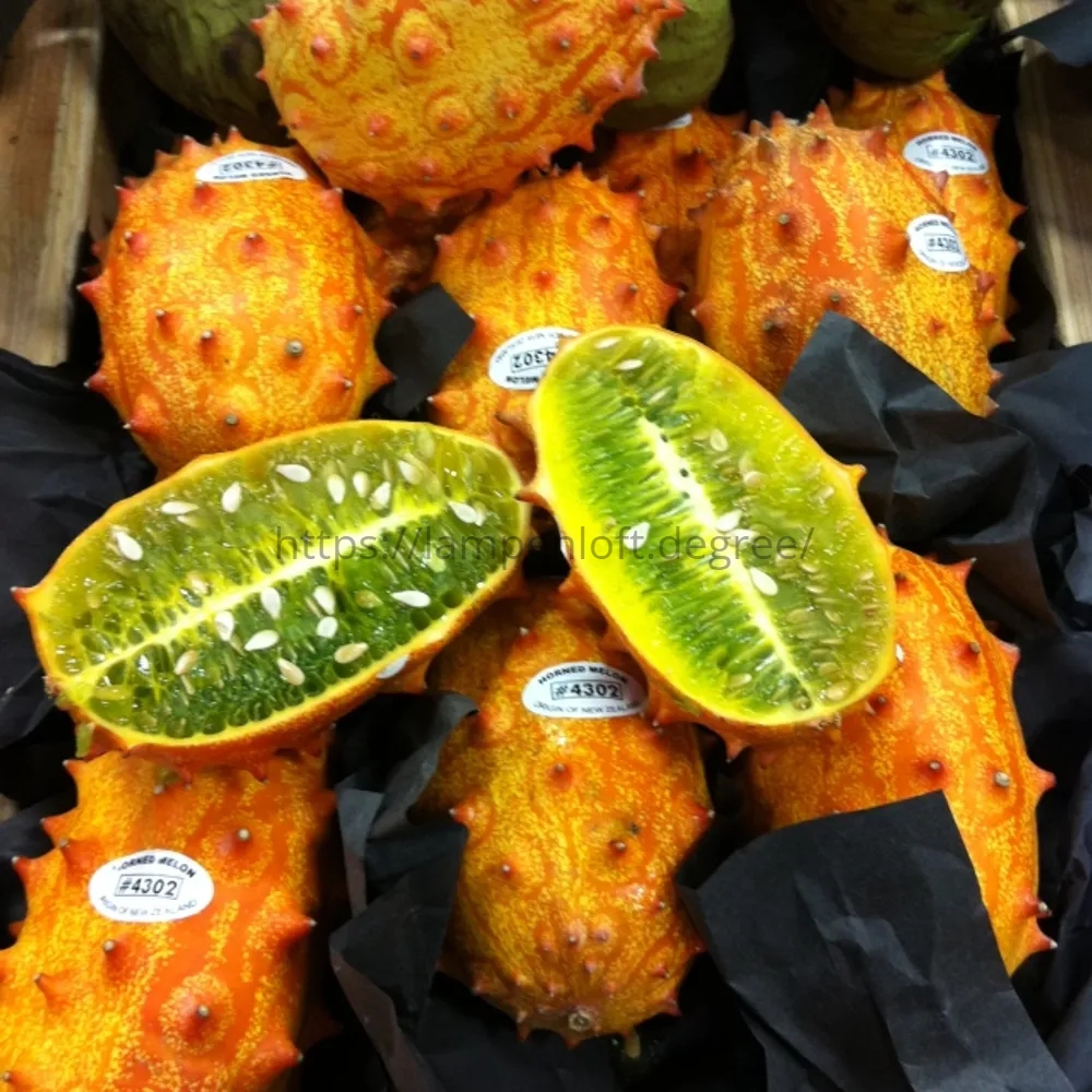 melon bertanduk